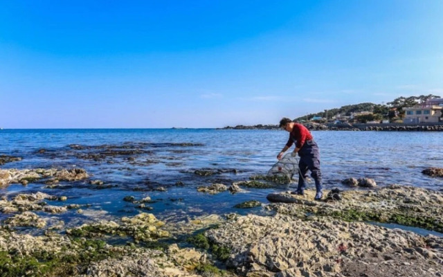 Pohang Sagyejeol Guryongpo Pension