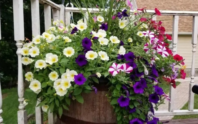 Trickling Waters Retreat