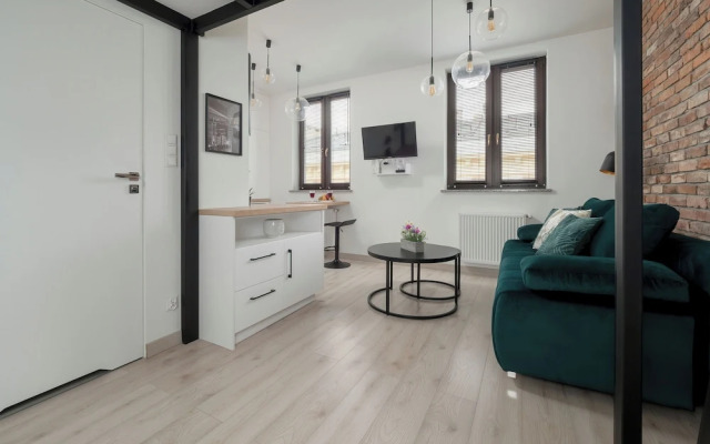 Cozy Studio in Łódź by Renters