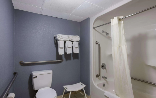 Quality Inn & Suites Big Rapids near University