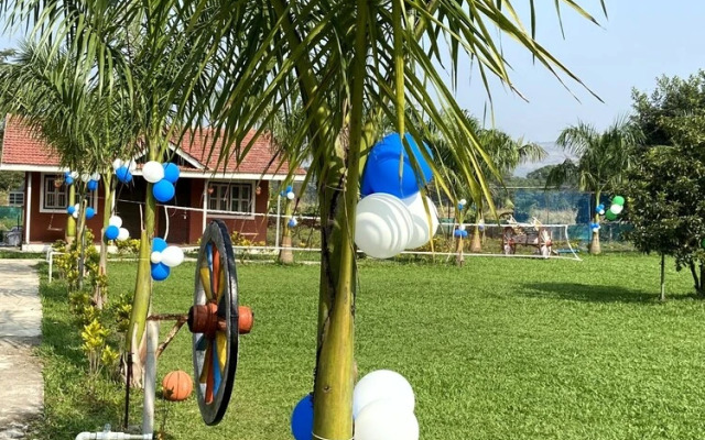 Mango Tree Farm