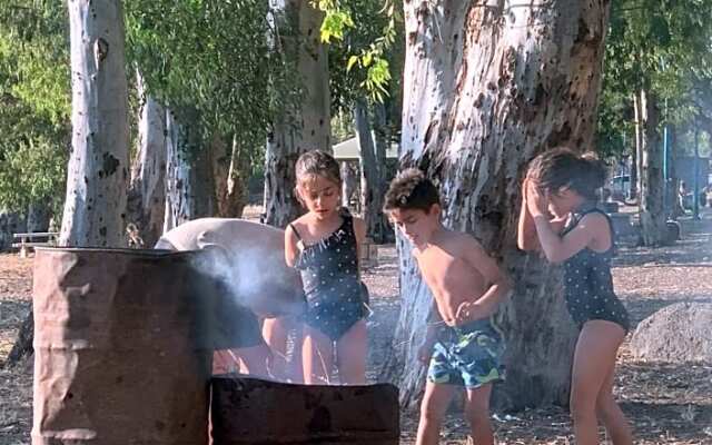 חוף גולן על שפת הכינרת אוהלים ממוזגים ובקתות עץ