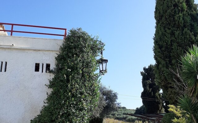 Pier delle Vigne B&B