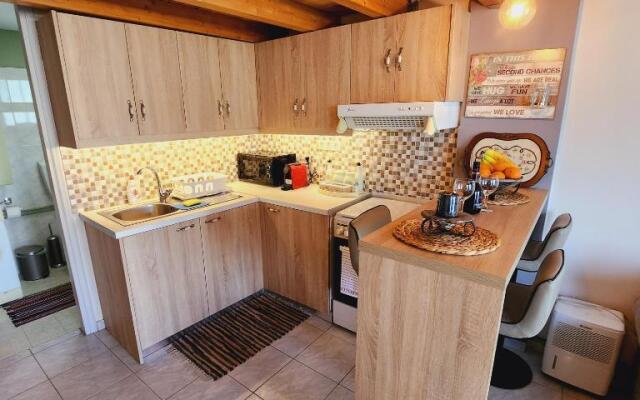 Stylish Luxury Loft Apartment Sofia