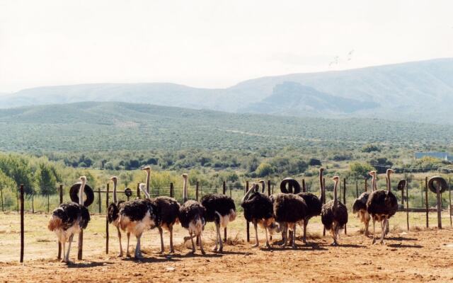 Rietfontein Ostrich Palace