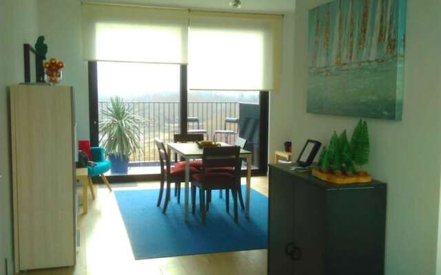Fully Equipped Sunny Apartment