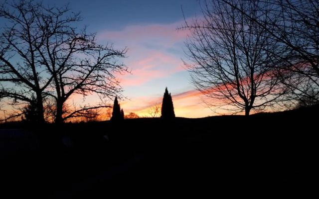 Hébergements Insolites en cabanes