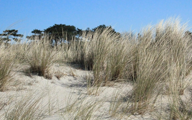 Ostseehotel Dierhagen