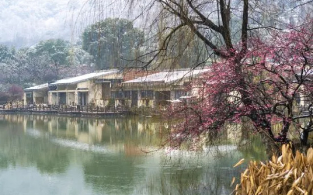 Hangzhou Shuimo Zhuang Private Home Forest Hotel (Chaoshan Scenic Area)