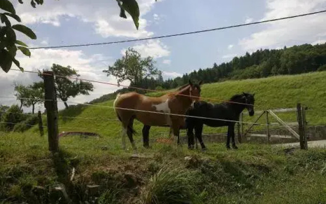 Bed And Breakfast Spelca