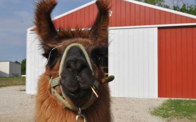 Lazy T Ranch Guest House