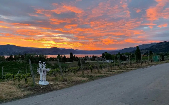Therapy Vineyards