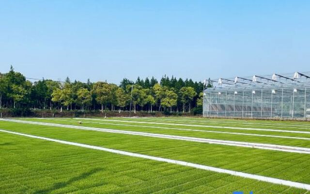 Shanghal 0xygen land Resort Villa