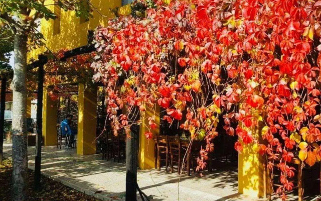 Cascina Bosco Gerolo