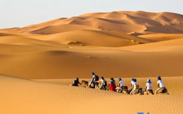 Zhongwei Shapo Tou Desert Wilderness Desert Stargazing Inn