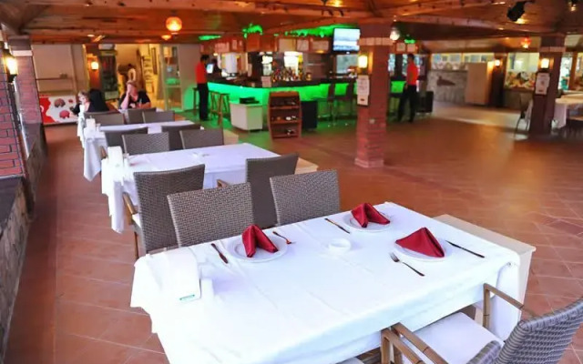 Catty Cats Garden Hotel