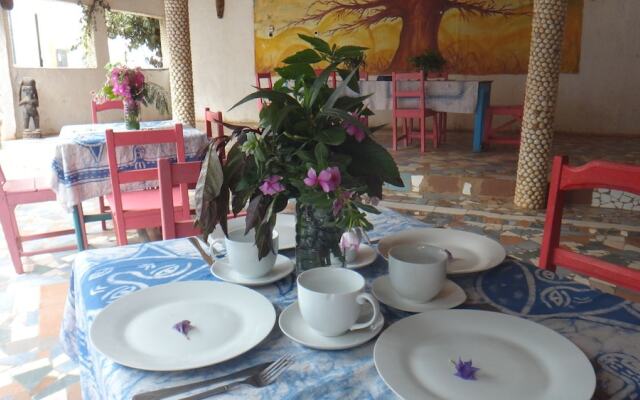 Hotel Mimosa - Hostel