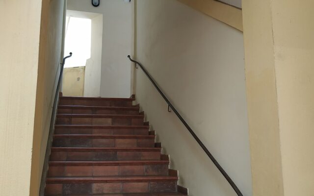 Qui Sentirai Il Battito Pulsante Di Bologna