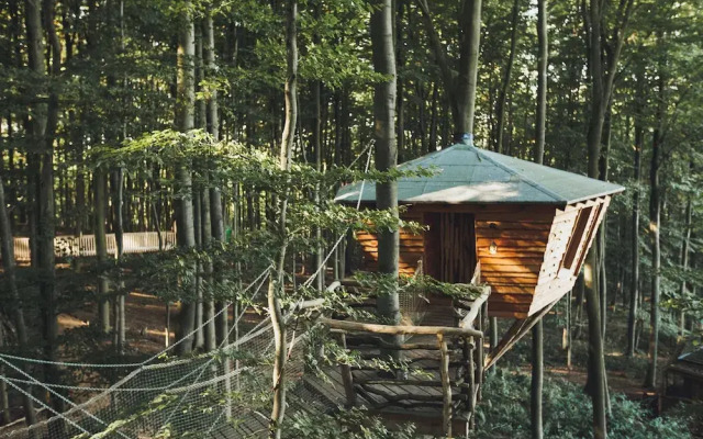 Robins Nest Baumhaushotel