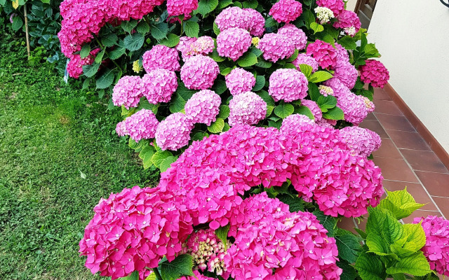 Villa Bellavista Alba