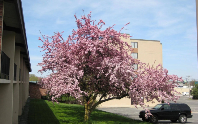 Magnuson Hotel Framingham