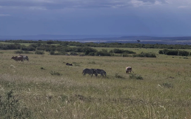 Amanya Sunset Star Bed Masai Mara
