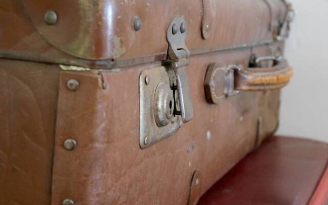 Sleep at the Garden Shed