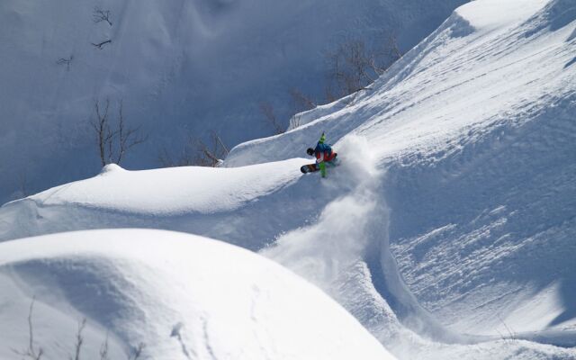 Villa Antelope Hakuba
