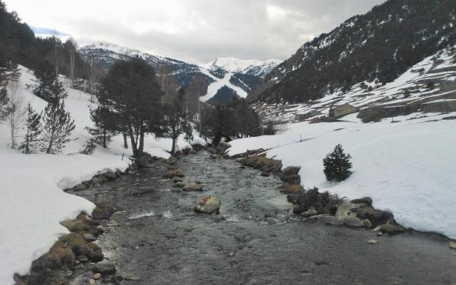 Vista Tarter