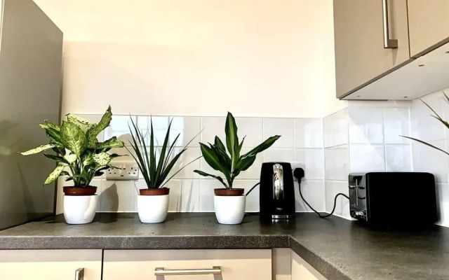 Luxury Entire 2 Bedroom Flat - Wembley Stadium