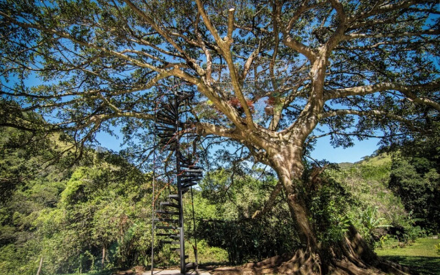 Nangú Glamping Experience