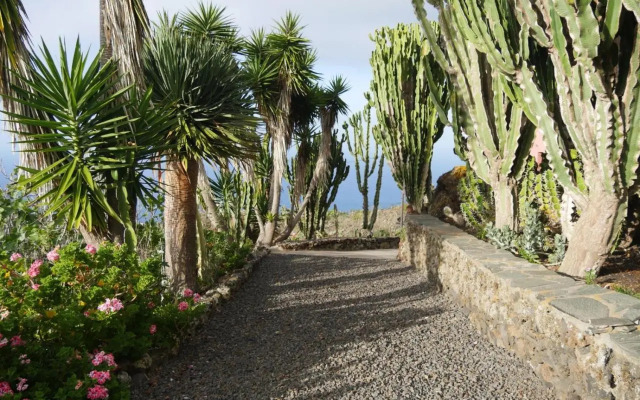 Apartamento Los Cactus