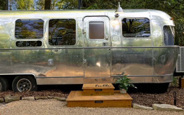 Creekside Fern in Pisgah Forest