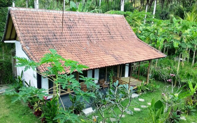 Jungle House - surf & stay