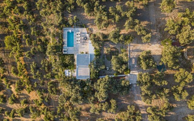 MariAndry Villa, Enchanting Secluded Retreat, By ThinkVilla