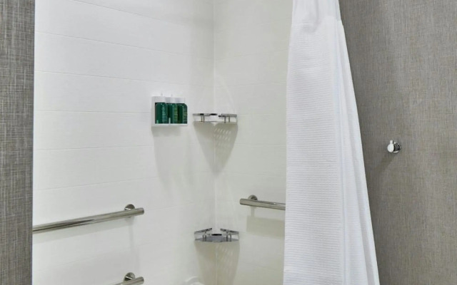 SpringHill Suites by Marriott Charlotte at Carowinds