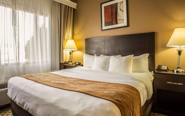 Comfort Suites Lumberton