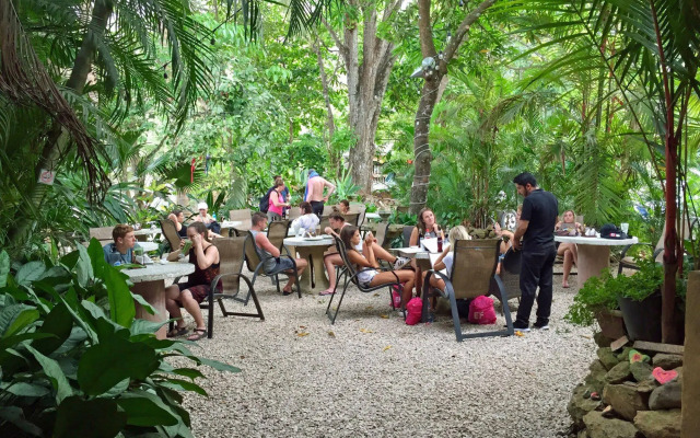 El Sano Banano Beachside Hotel