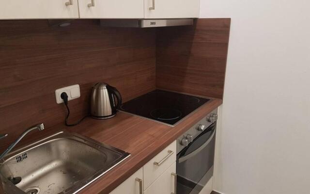 Jutta Deluxe Apartment #301