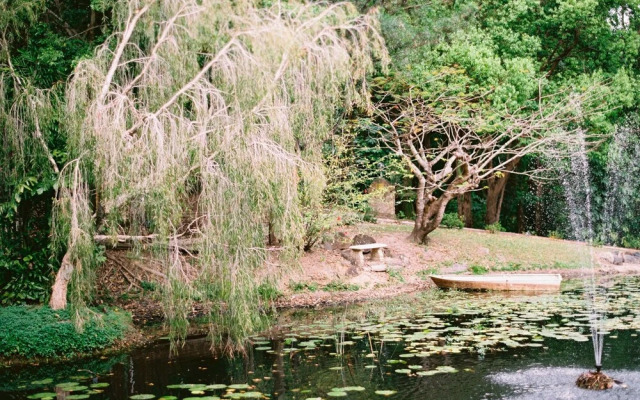 Ecostudio Fellini