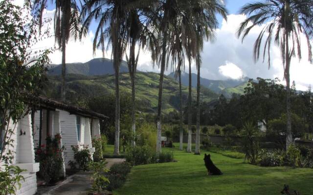Las Palmeras Inn