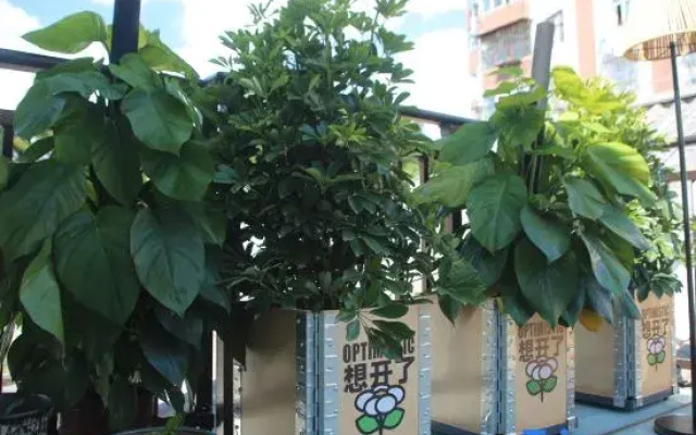Gaobei Homestay (Simao Old Street)