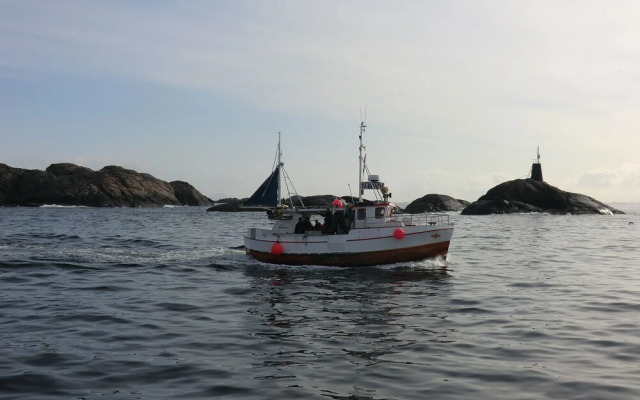 Live Lofoten Fisherman's Cabins
