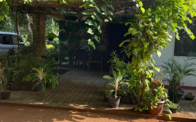Olivia HomeStay