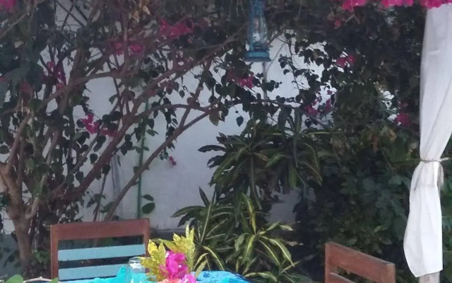 Bliss Beach Lodge