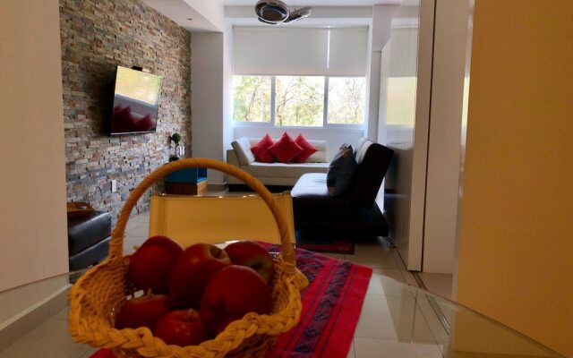 Apartment Downtown 203