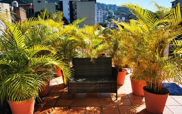 Vela Lounge & Hostel PV