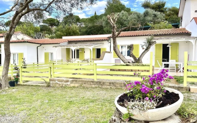 Les Bouganvilles by SolturElba