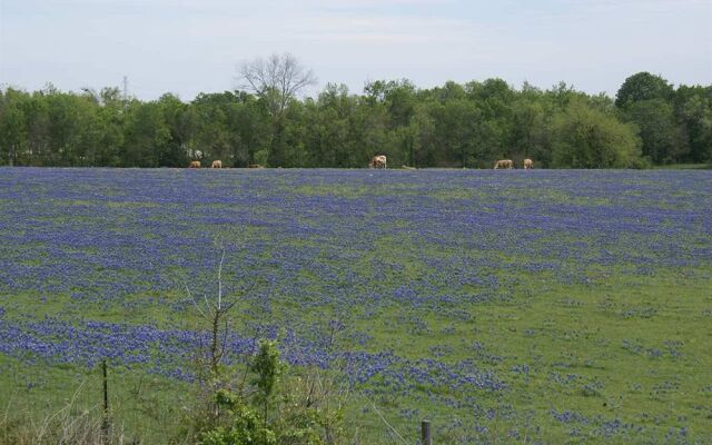 Hampton Inn & Suites Brenham