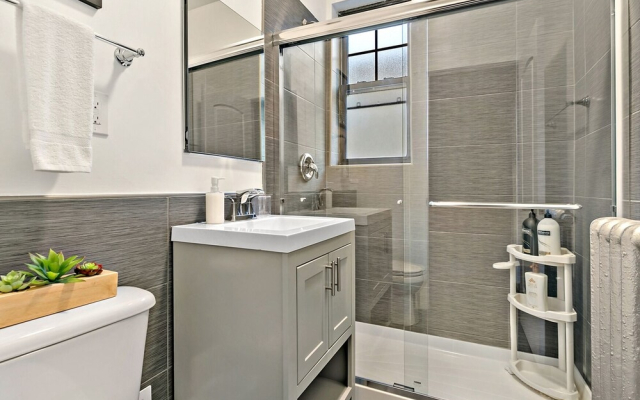 1BR Magnificent Apt in Belmont Chicago